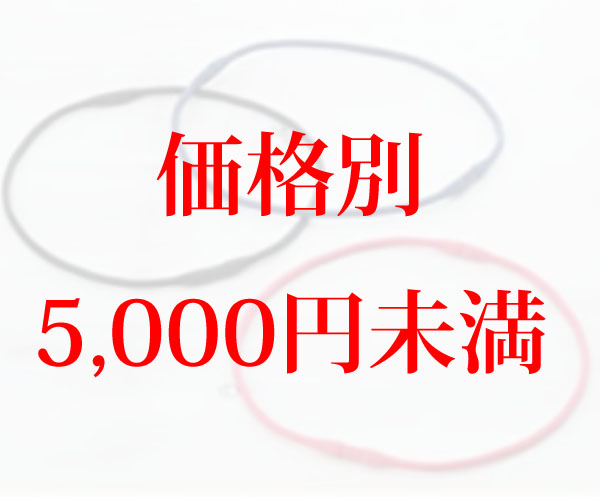 おすすめの磁気ネックレス ５千円未満